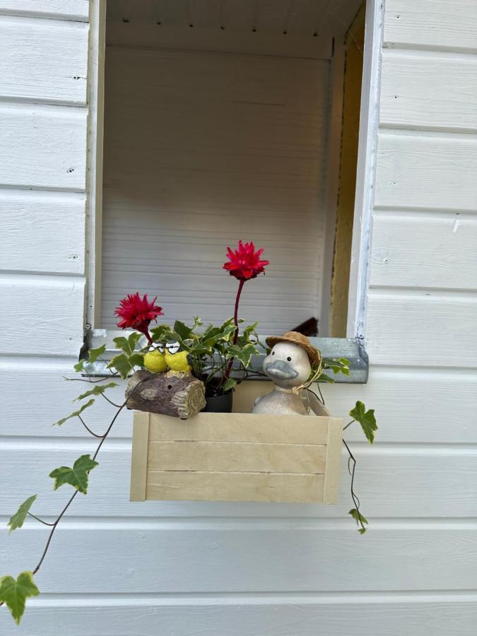 Green Paradise & Cozy Retreat Salzburg With Free Parking 外观 照片