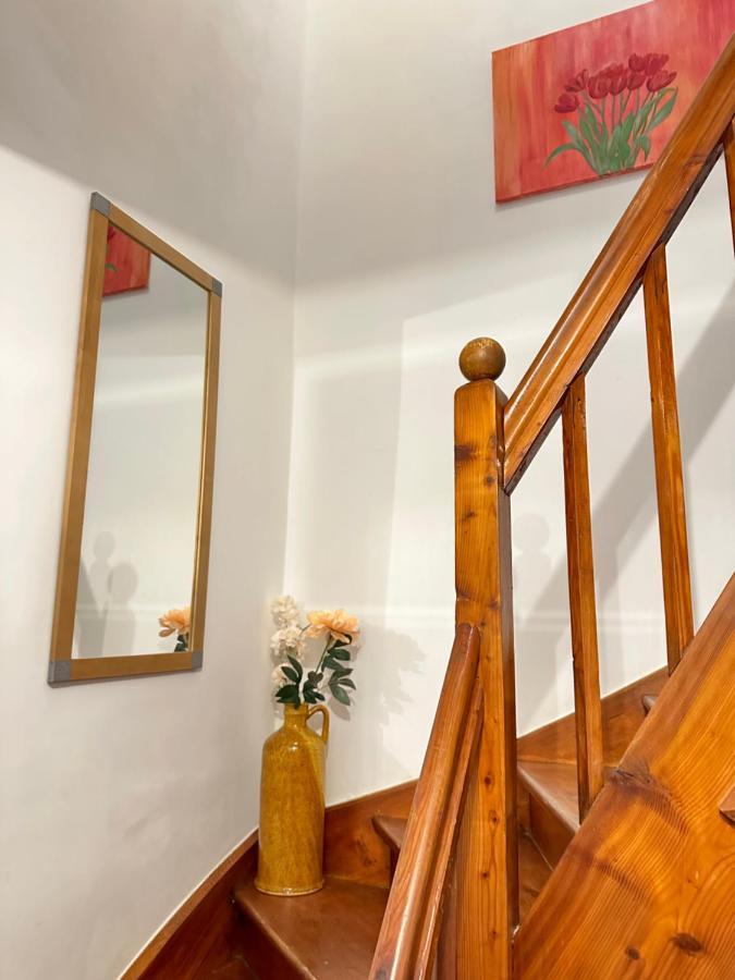Green Paradise & Cozy Retreat Salzburg With Free Parking 外观 照片