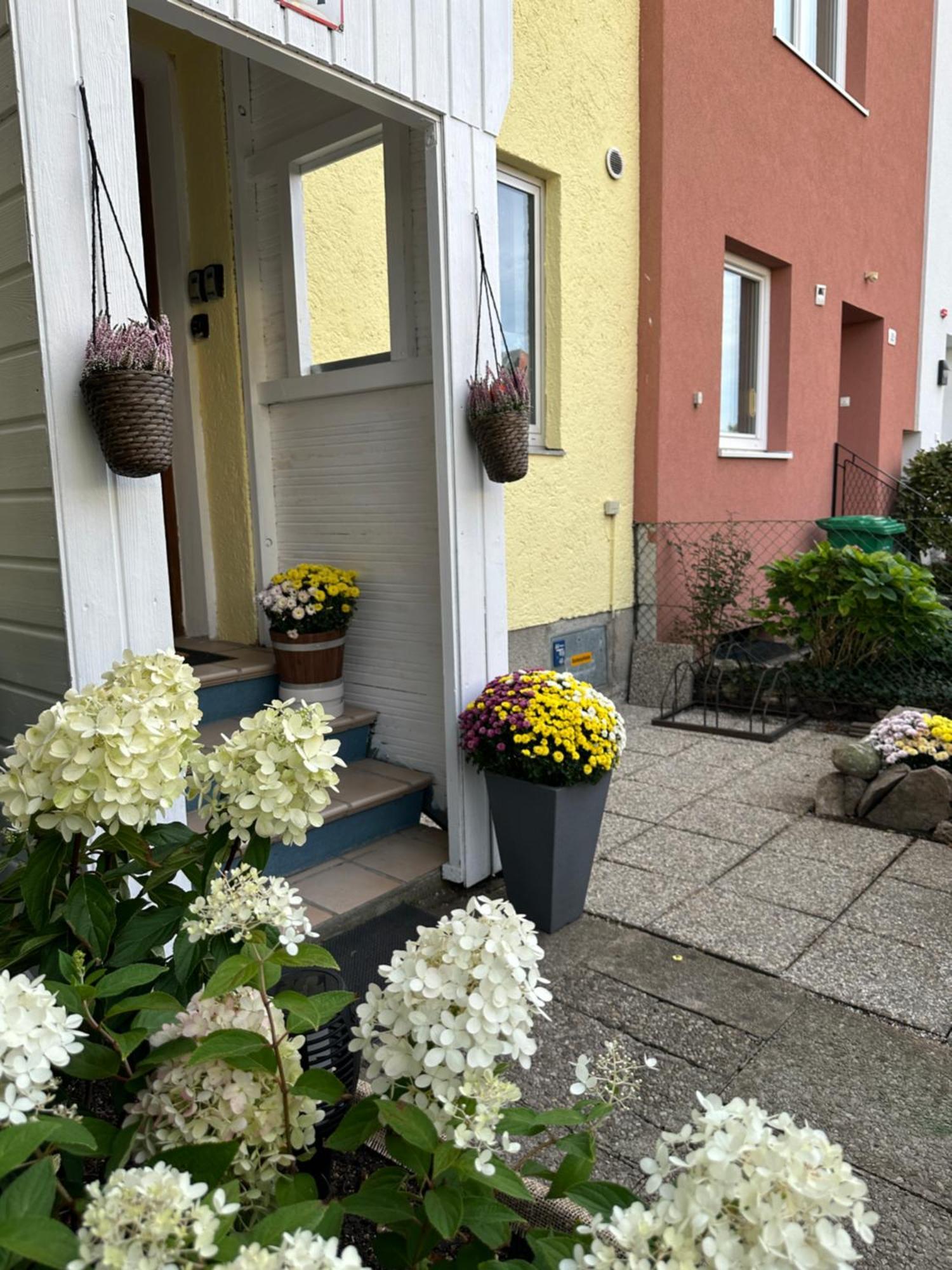 Green Paradise & Cozy Retreat Salzburg With Free Parking 外观 照片